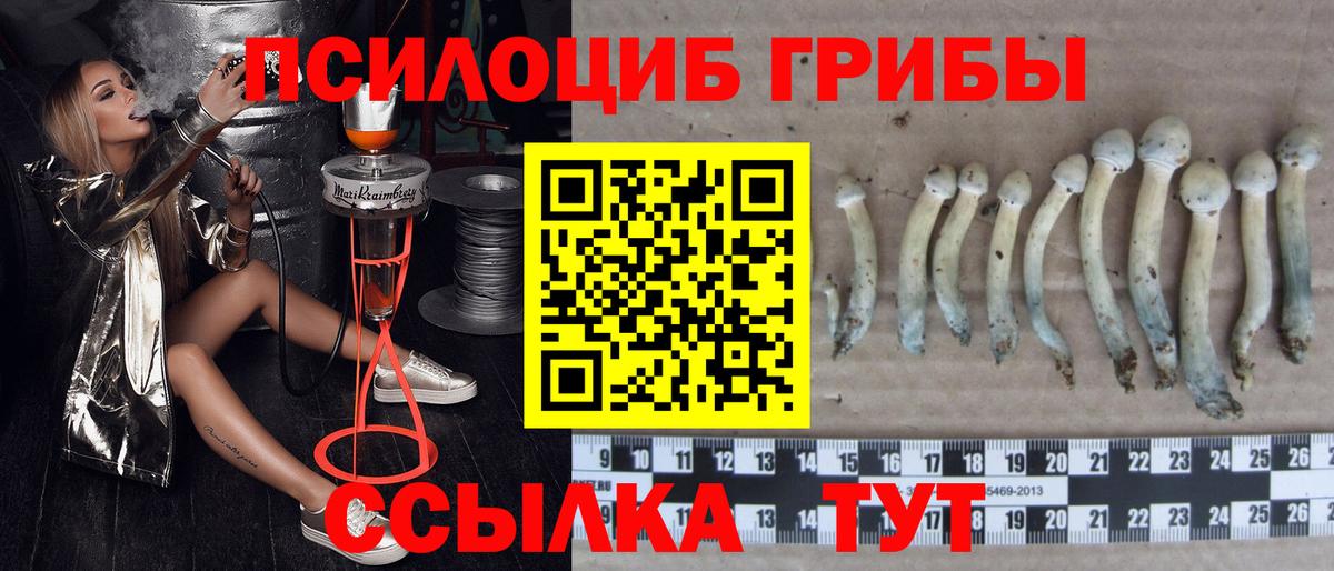 Псилоцибиновые грибы Psilocybe  Вход с VPN  Галлюциногенные грибы ЛСД  Донской 