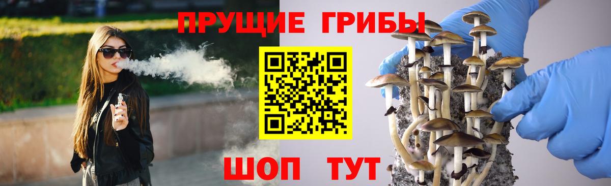 Псилоцибиновые грибы Cubensis Донской